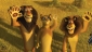 madagascar__escape_2_africa_photo1.jpg