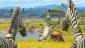 madagascar__escape_2_africa_pic.jpg