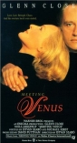 meeting_venus_photo1.jpg