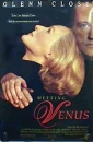 meeting_venus_picture.jpg