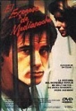 midnight_express_picture1.jpg