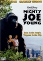 mighty_joe_young_image1.jpg