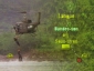 missing_in_action_picture1.jpg