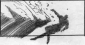 mission__impossible_ii_image1.jpg