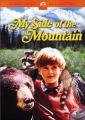 my_side_of_the_mountain_pic.jpg