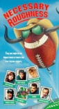 necessary_roughness_pic.jpg