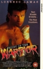 night_of_the_warrior_image1.jpg