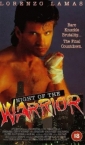 night_of_the_warrior_photo.jpg