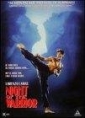 night_of_the_warrior_photo1.jpg
