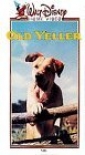 old_yeller_pic.jpg