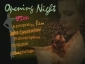 opening_night_picture1.jpg