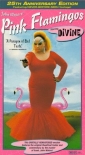 pink_flamingos_image.jpg