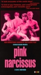 pink_narcissus_image.jpg