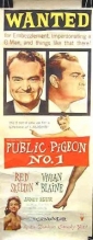 public_pigeon_no__one_picture.jpg
