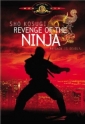 revenge_of_the_ninja_img.jpg