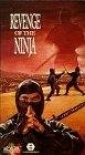 revenge_of_the_ninja_pic.jpg