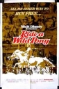 ride_a_wild_pony_picture.jpg