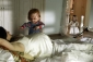 seed_of_chucky_image1.jpg