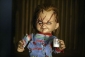 seed_of_chucky_pic.jpg