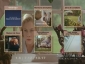 serial_mom_img.jpg