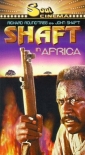 shaft_in_africa_photo1.jpg