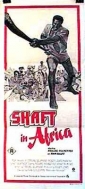 shaft_in_africa_picture.jpg