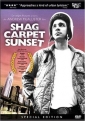 shag_carpet_sunset_picture.jpg