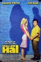 shallow_hal_photo.jpg