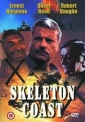 skeleton_coast_image.jpg