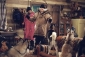 snow_dogs_photo.jpg