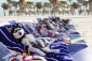 snow_dogs_pic.jpg