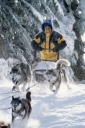 snow_dogs_picture.jpg