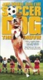 soccer_dog__the_movie_img.jpg