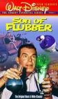 son_of_flubber_photo.jpg