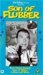 son_of_flubber_pic.jpg