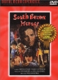 south_bronx_heroes_picture.jpg