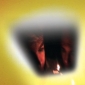 speed_of_life_picture.jpg