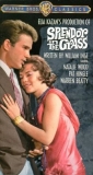 splendor_in_the_grass_image1.jpg