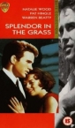 splendor_in_the_grass_img.jpg
