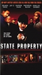 state_property_pic.jpg