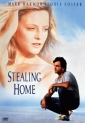 stealing_home_image.jpg