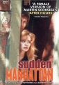 sudden_manhattan_picture.jpg