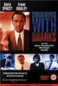 swimming_with_sharks_photo.jpg