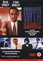 swimming_with_sharks_pic.jpg
