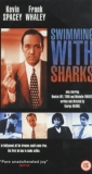 swimming_with_sharks_picture1.jpg