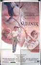 sylvester_image.jpg