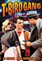 t_bird_gang_img.jpg