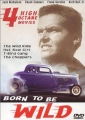 t_bird_gang_photo.jpg