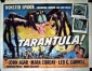 tarantula_picture.jpg