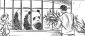 the_amazing_panda_adventure_photo.jpg